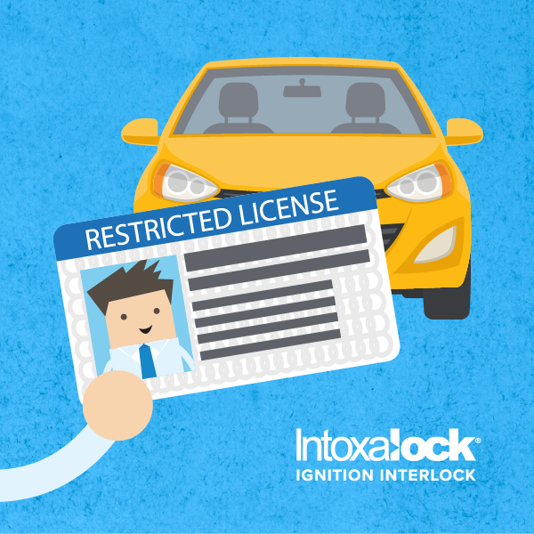 What is a Hardship License vs. Restricted License Comparison